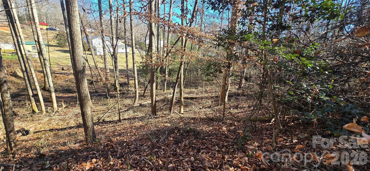 Peak Pl., Lenoir, NC 28645