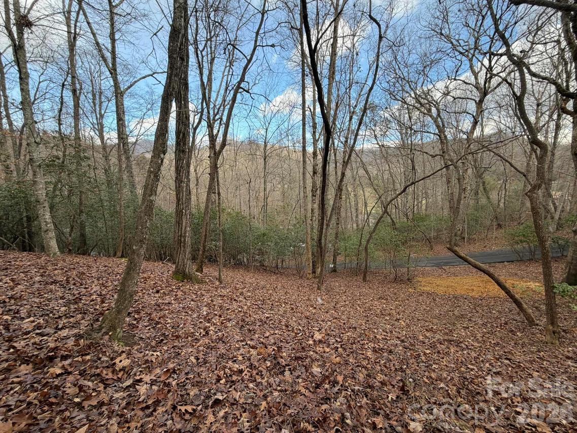 Crescent Ridge, Franklin, NC 28734