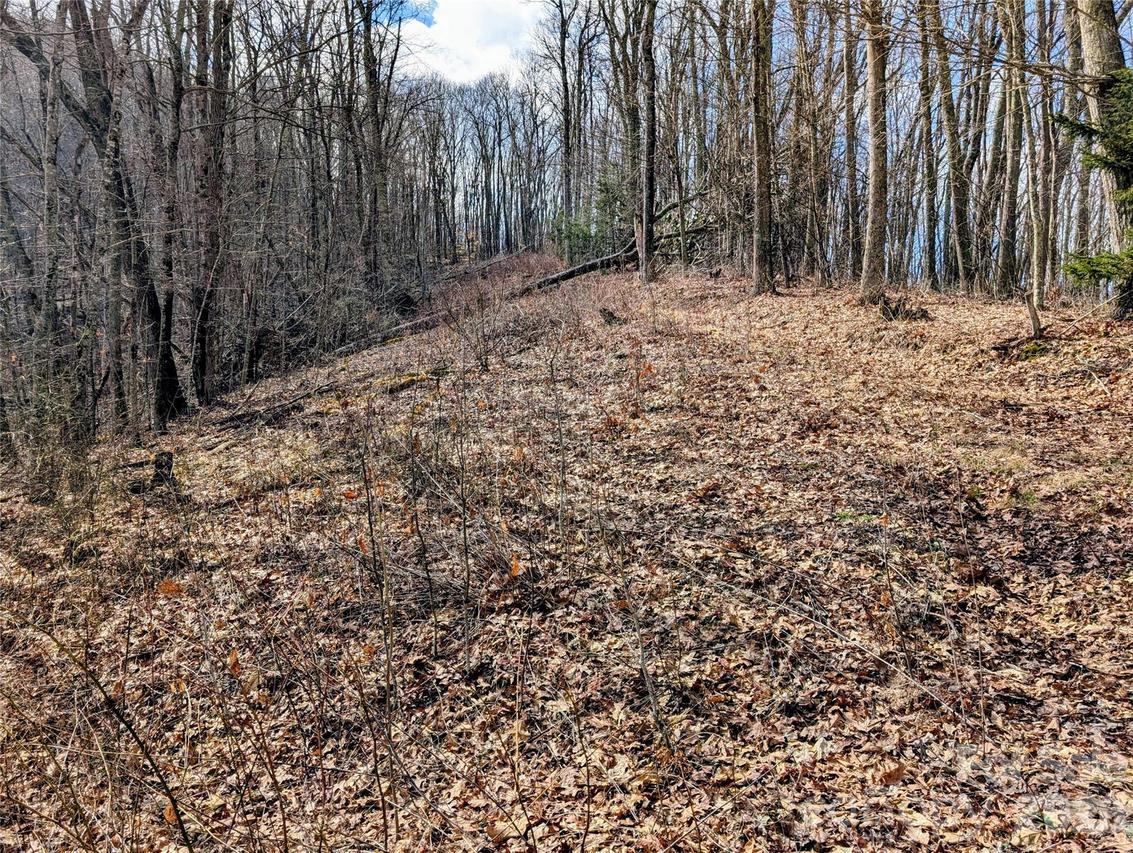 #49 Hazel Top Section, Teaberry Ridge Rd., Waynesville, NC 28786