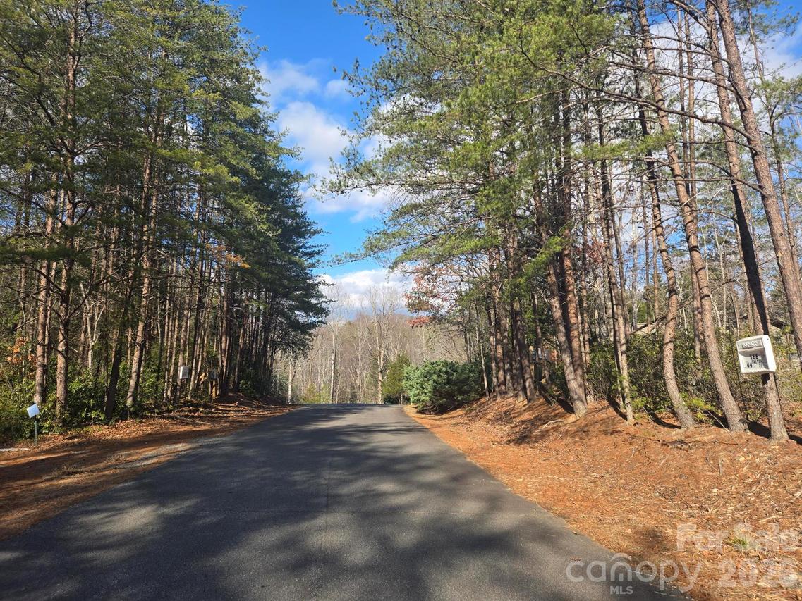Lot 44 Dalton Ct., Lake Lure, NC 28746