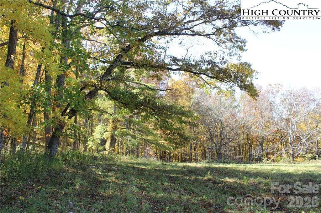 TBD Mcneill Rd., Lansing, NC 28643