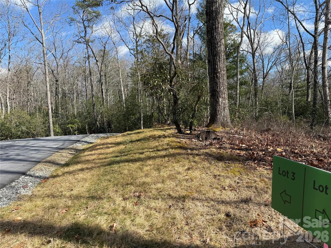 Tract 3 Turtle Ridge Tr., Mills River, NC 28759
