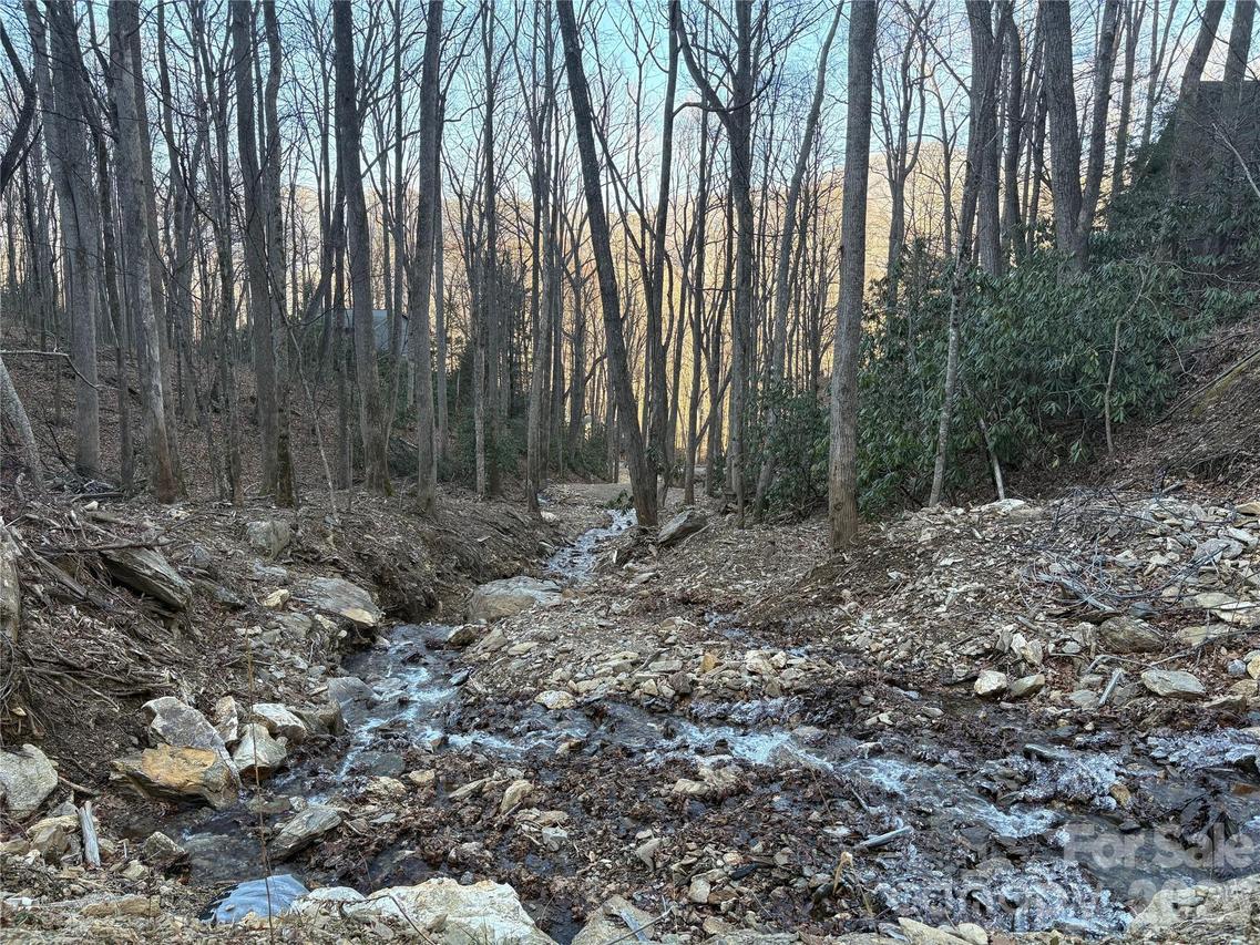 TBD Thrush Dr. #20, Maggie Valley, NC 28751