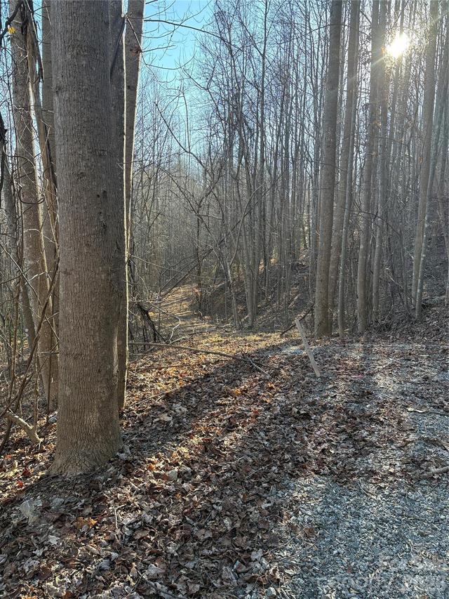 V/L Brindlewood Dr. #38V, Nebo, NC 28761