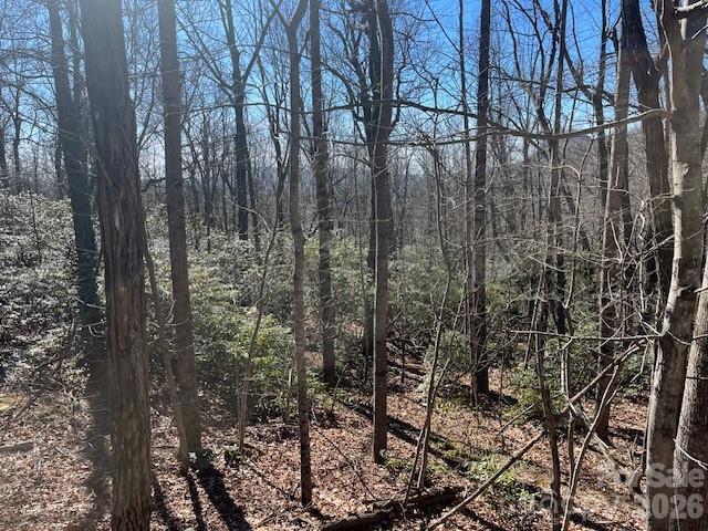 Lot 79 Arrowhead Tr., Columbus, NC 28722