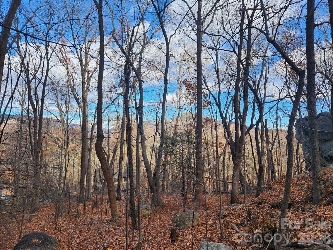 Lot 21 Highland Heights, Lake Lure, NC 28746