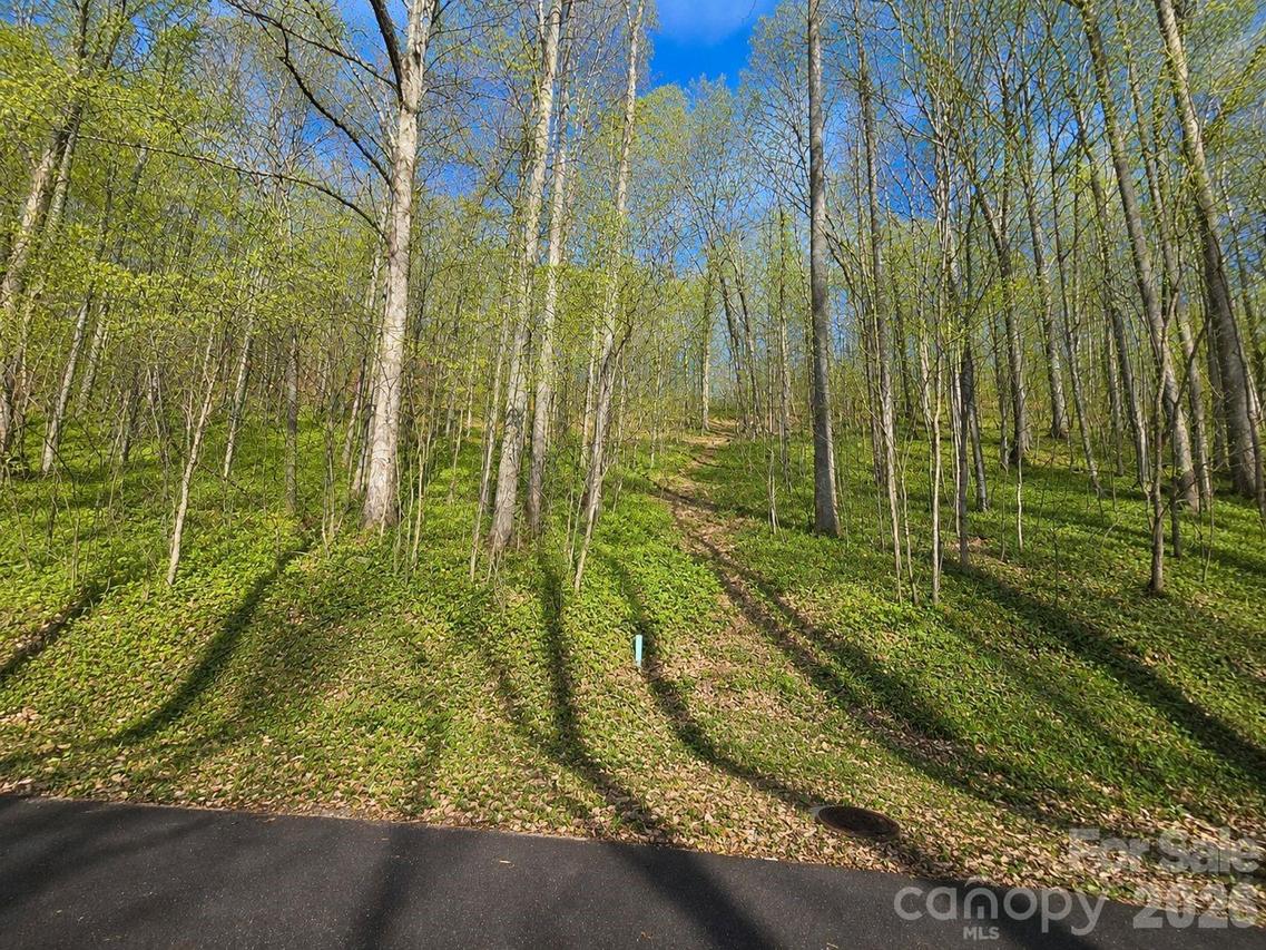 455 Mountain Watch Dr. #16, Waynesville, NC 28785