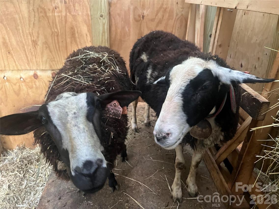 2778 Mule Stomp Rd., Hot Springs, NC 28721