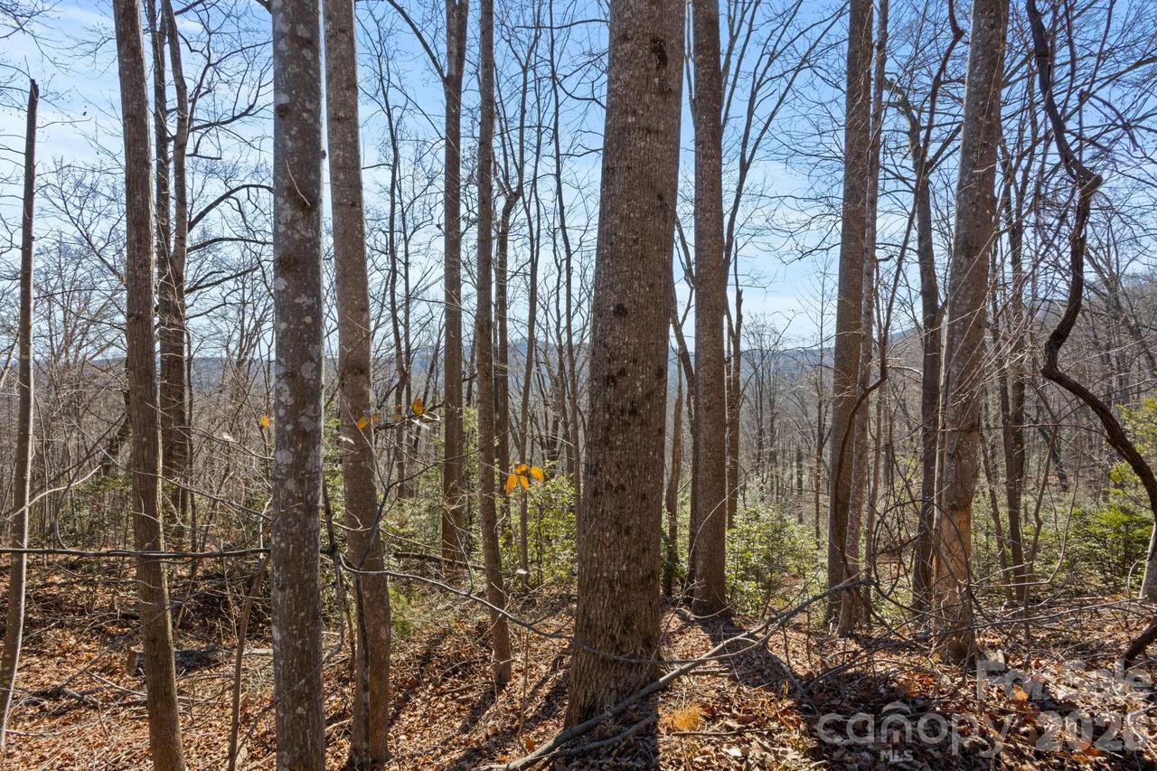 Dogwood Dr., Lake Lure, NC 28746