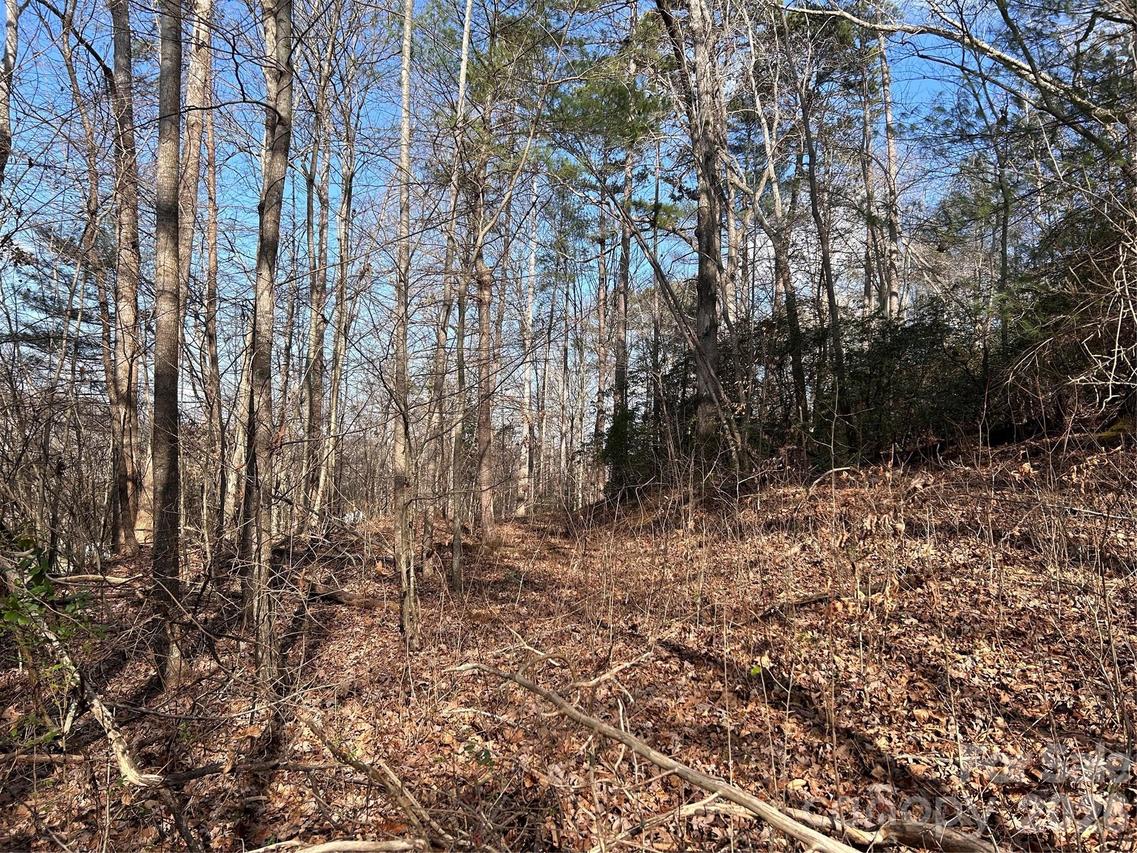 303 Burke St., Hickory, NC 28601