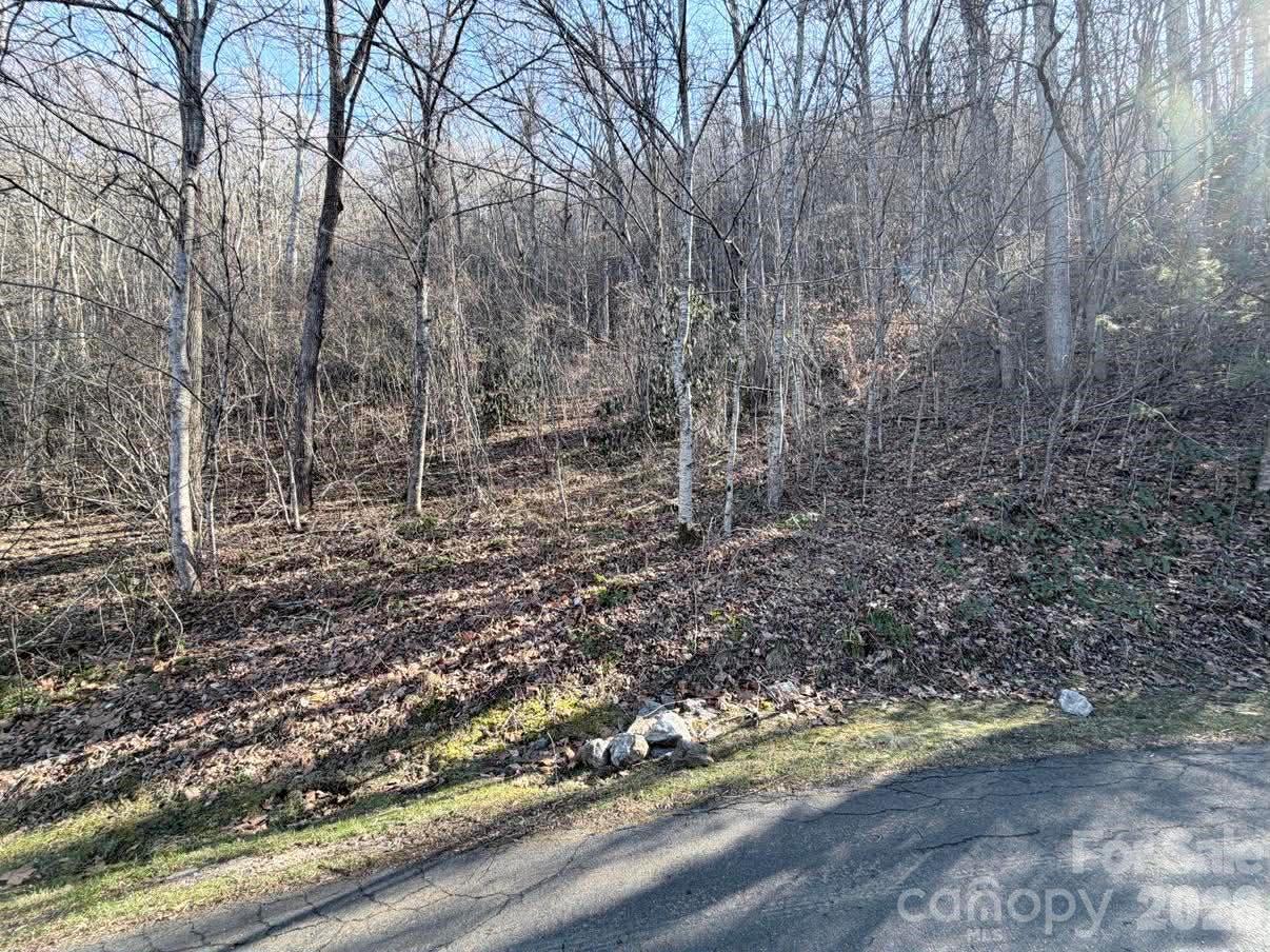 76 View Ridge Pkwy. #7, Leicester, NC 28748