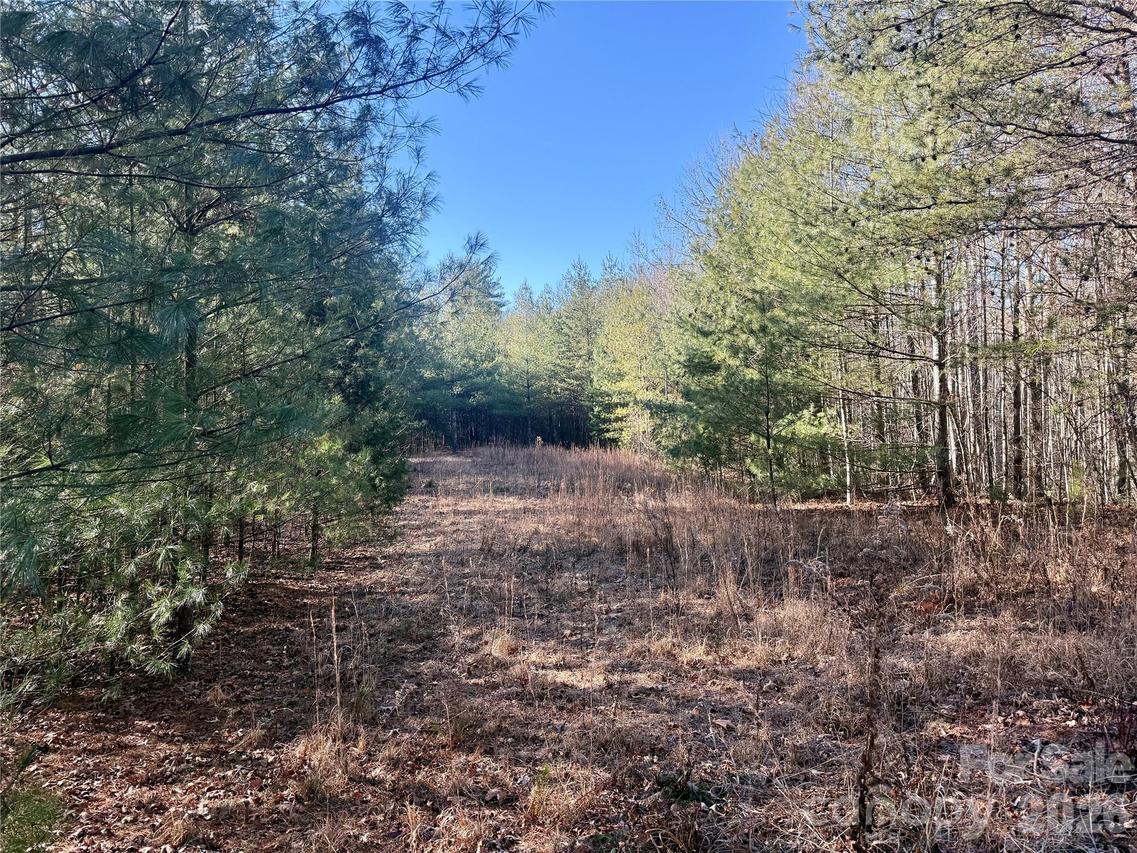 2095 Hitching Post Tr. #G45, Lenoir, NC 28645