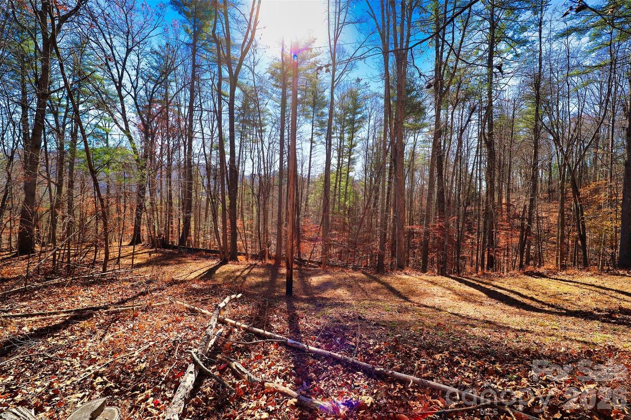 TBD Rocking Horse Tr., Burnsville, NC 28714