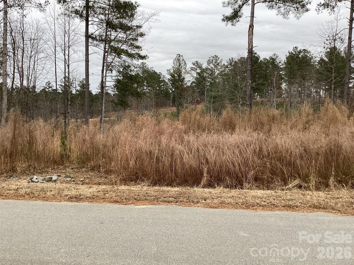 2146 Pikes Peak Ridge #154, Connelly Springs, NC 28612