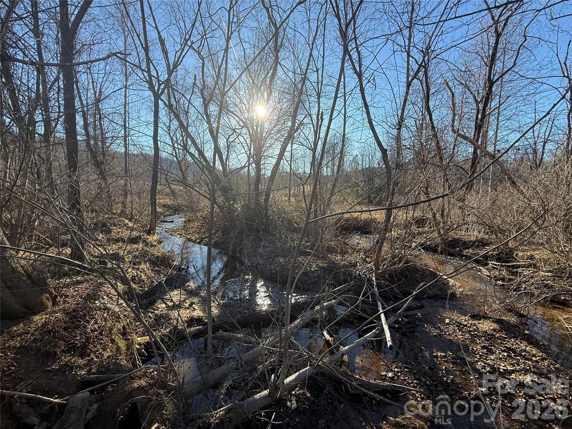 000 Old Fort Sugar Hill Rd., Marion, NC 28752