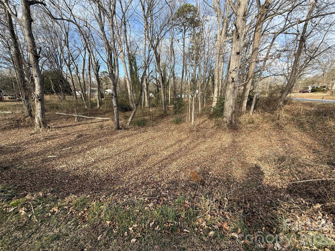 Lot 10&11 Buffalo Shoals Rd. #10, Statesville, NC 28677