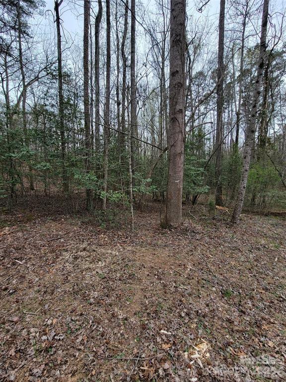 Vacant Elmwood Dr., Troy, NC 27371