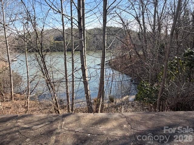 37 Peninsula Dr., Mill Spring, NC 28756