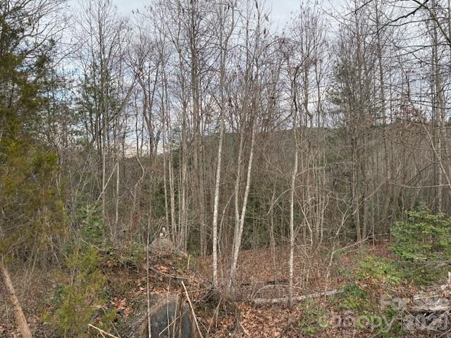 S Old Nc 18 Hwy., Connelly Springs, NC 28612