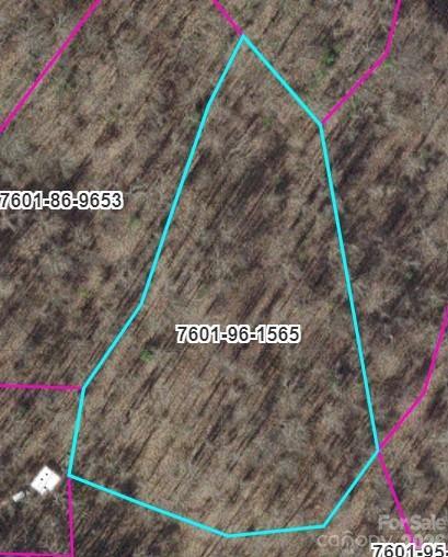 0000 Barkers Creek Rd., Whittier, NC 28789