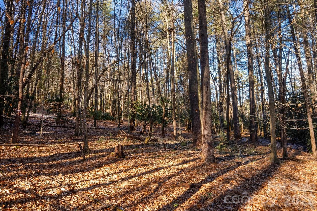 L11 Deerlake Rd. #11, Brevard, NC 28712