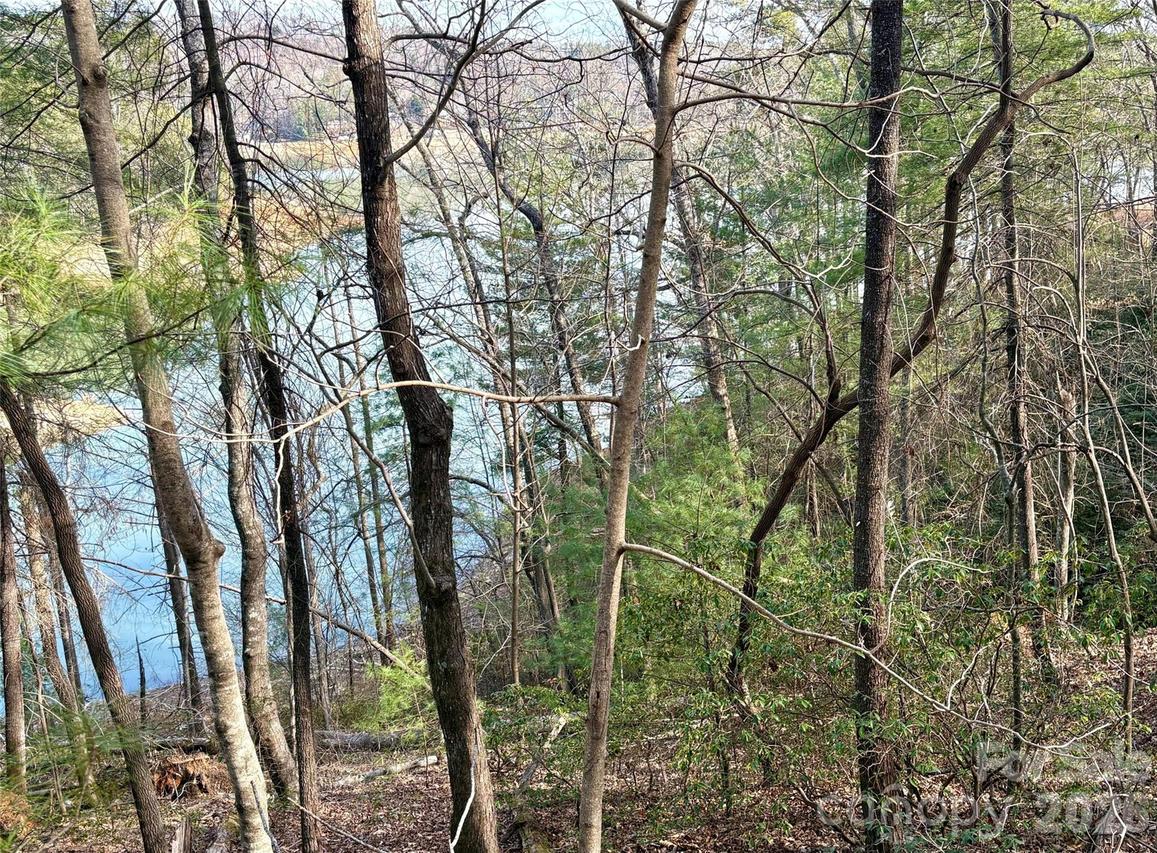 Falls View Tr. #lot 23A, Lake Lure, NC 28746