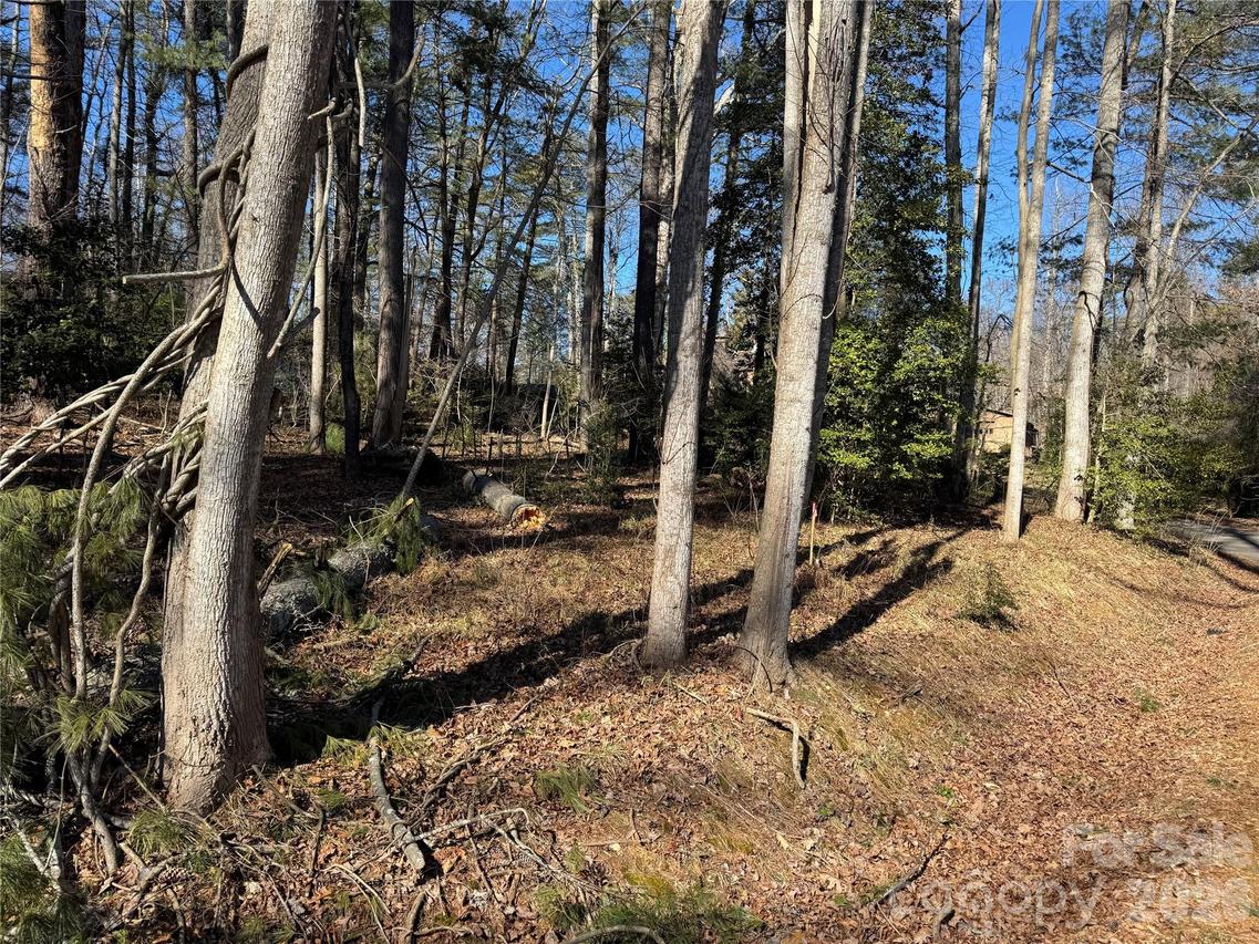 133 Springside Rd., Asheville, NC 28803