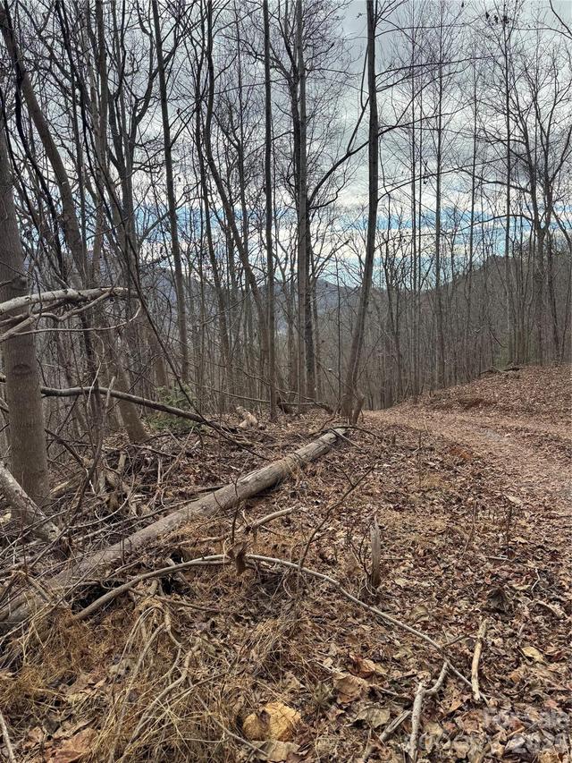 99999 Penland Rd., Hayesville, NC 28904