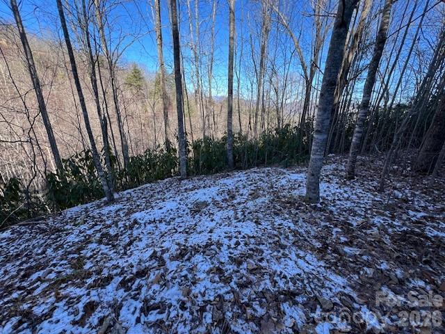 621 Round Top Rd., Almond, NC 28702