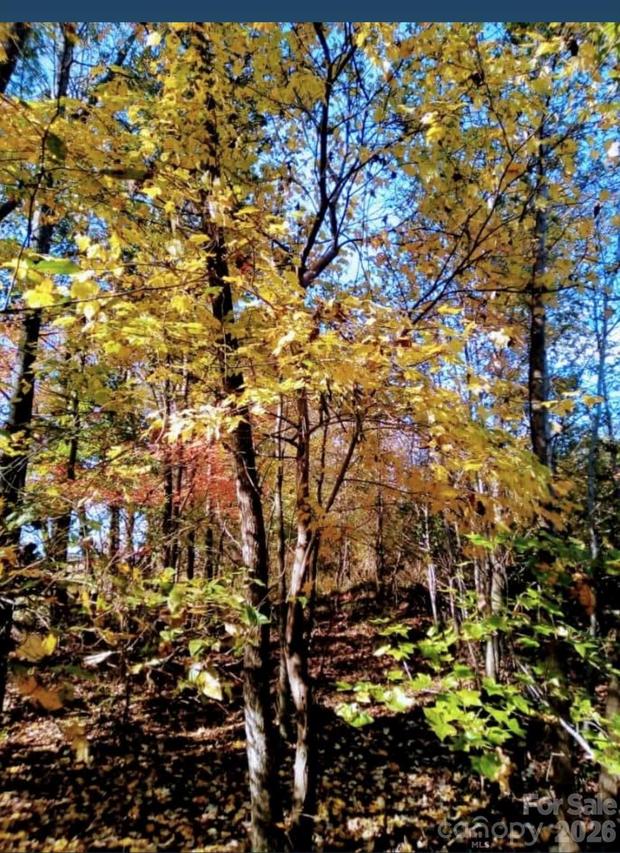 0000 Potter Rd., Waxhaw, NC 28173