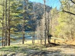 Green River Rd., Zirconia, NC 28790