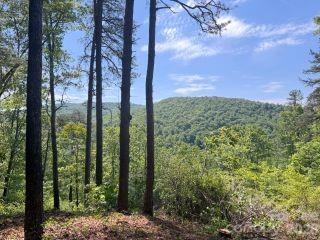 Green River Rd., Zirconia, NC 28790