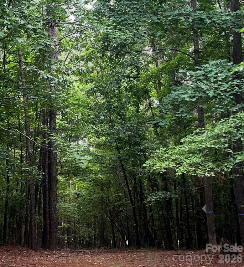 2209 Green View Dr. #18, Waxhaw, NC 28173