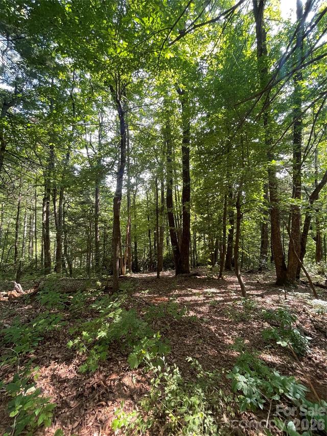 Lot # 21 Haverhill Ct. #21, Flat Rock, NC 28731