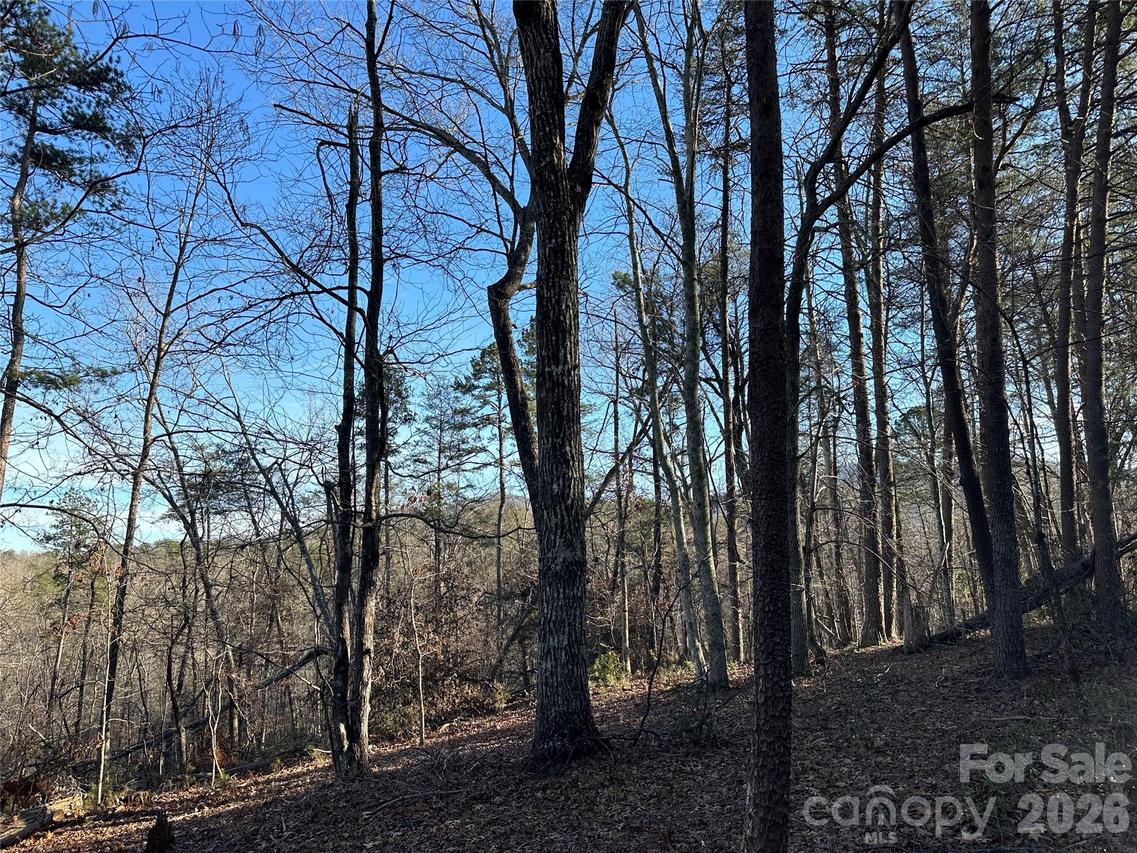 00 Hawkins Ln. #8, Mill Spring, NC 28756