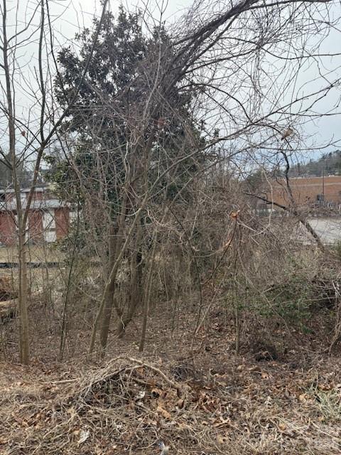 33 Johnson Dr. #1, Asheville, NC 28804