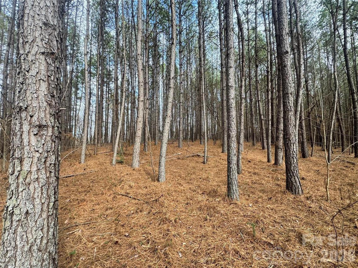 Hudlow Rd., Rutherfordton, NC 28139