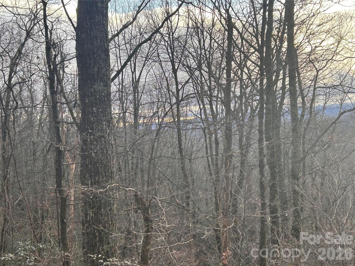 Pine Ridge Rd. #21, Hendersonville, NC 28792
