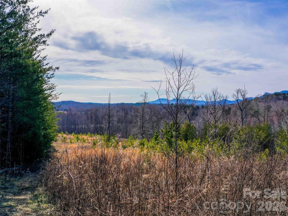 00 Pea Ridge Rd., Mill Spring, NC 28756