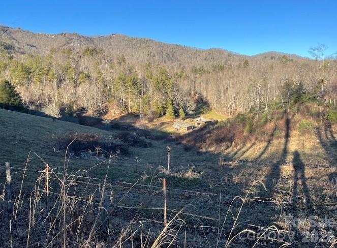 00000 Shelton Laurel Rd., Clyde, NC 28721