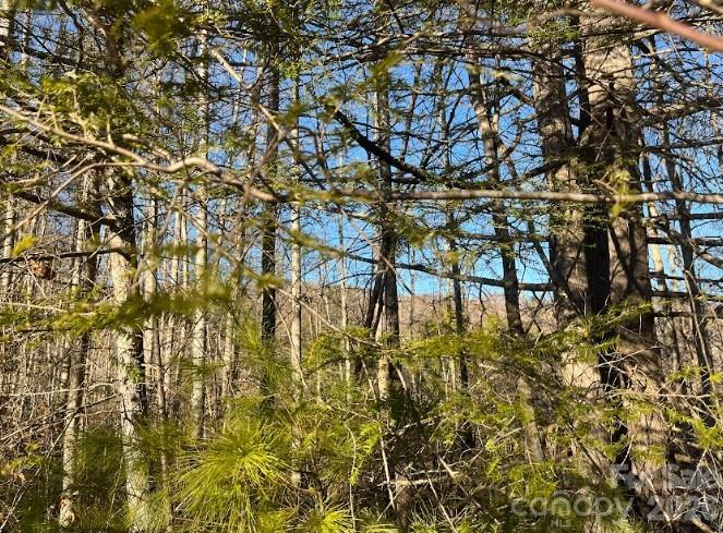 0000 Shelton Laurel Rd., Clyde, NC 28721