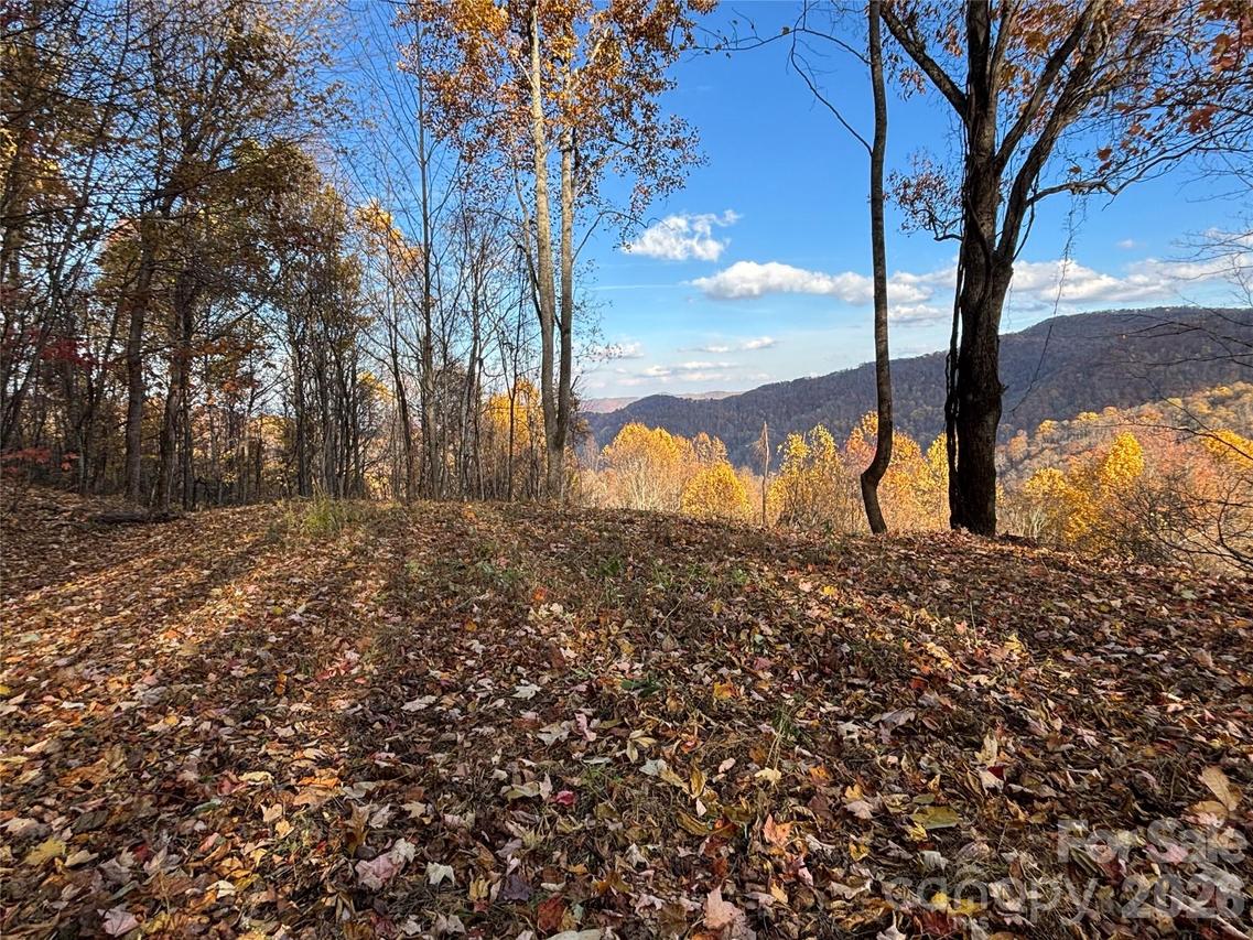 (North Lot) Meadow Fork Rd., Hot Springs, NC 28743