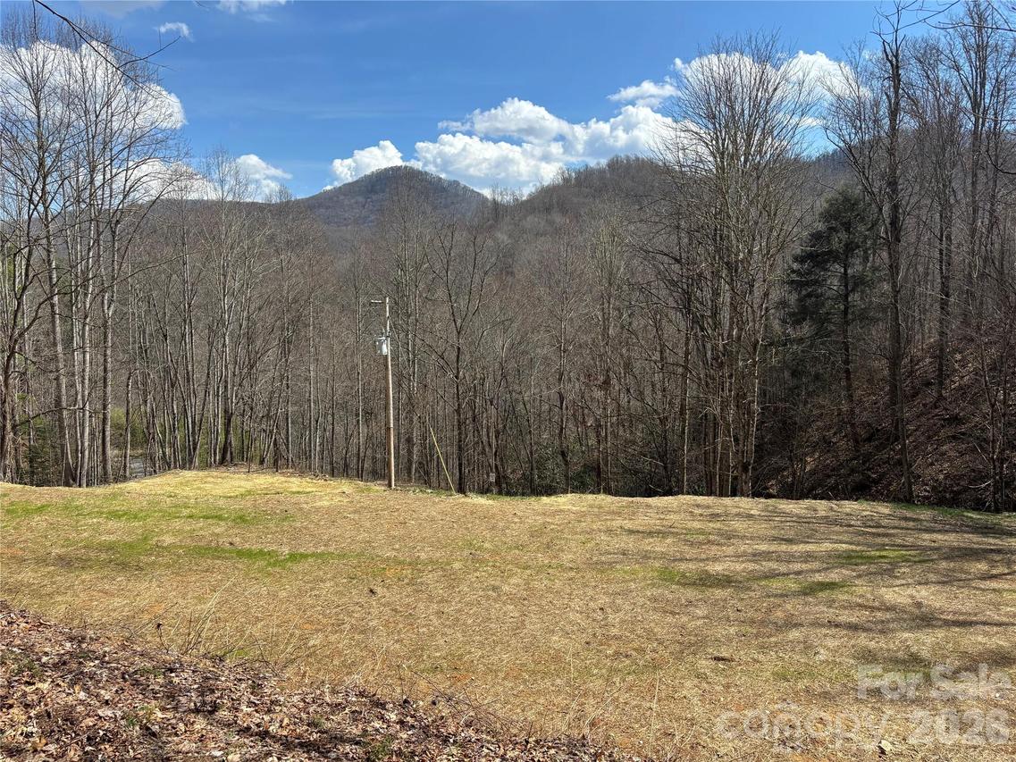 (South Lot) Meadow Fork Rd., Hot Springs, NC 28743