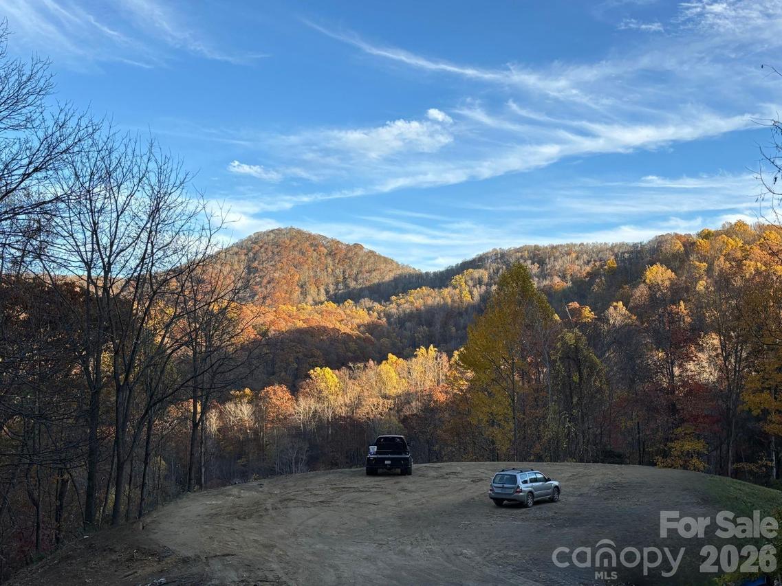 (East Lot) Meadow Fork Rd., Hot Springs, NC 28743