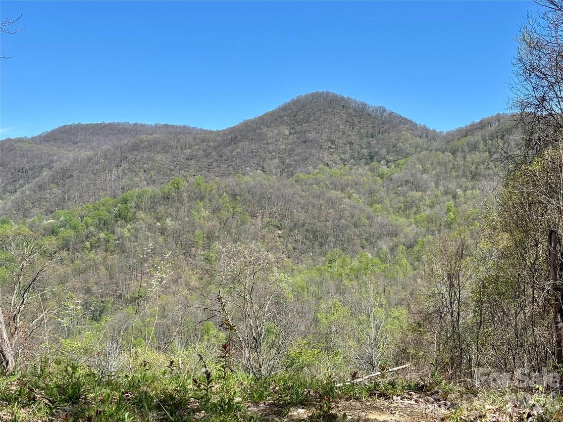 (West Lot) Meadow Fork Rd., Hot Springs, NC 28743