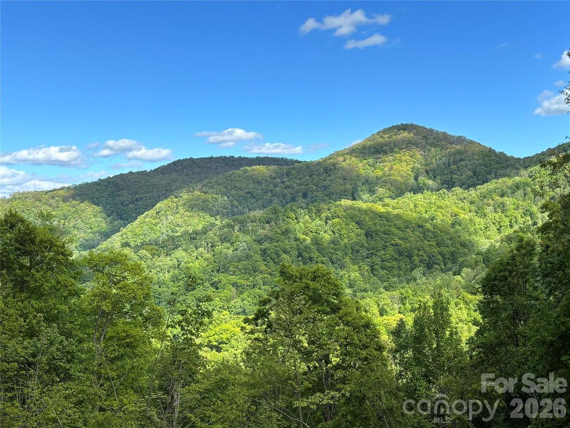 (West Lot) Meadow Fork Rd., Hot Springs, NC 28743