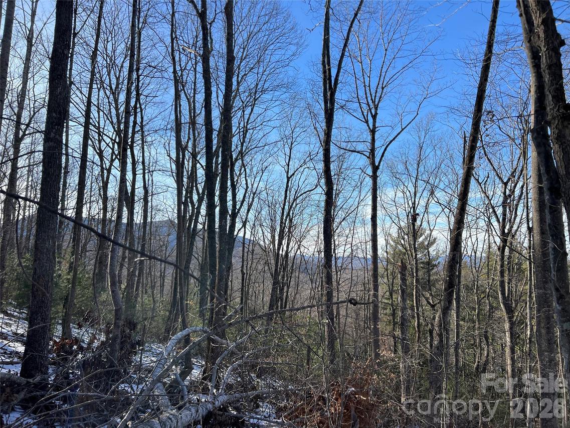 TBD (Lot 8) Woodland Ridge, Lansing, NC 28643