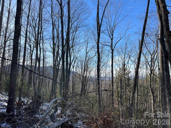 New Homes For Sale This Week That Attend Mountain View Elementary School: January 30th to February 5th