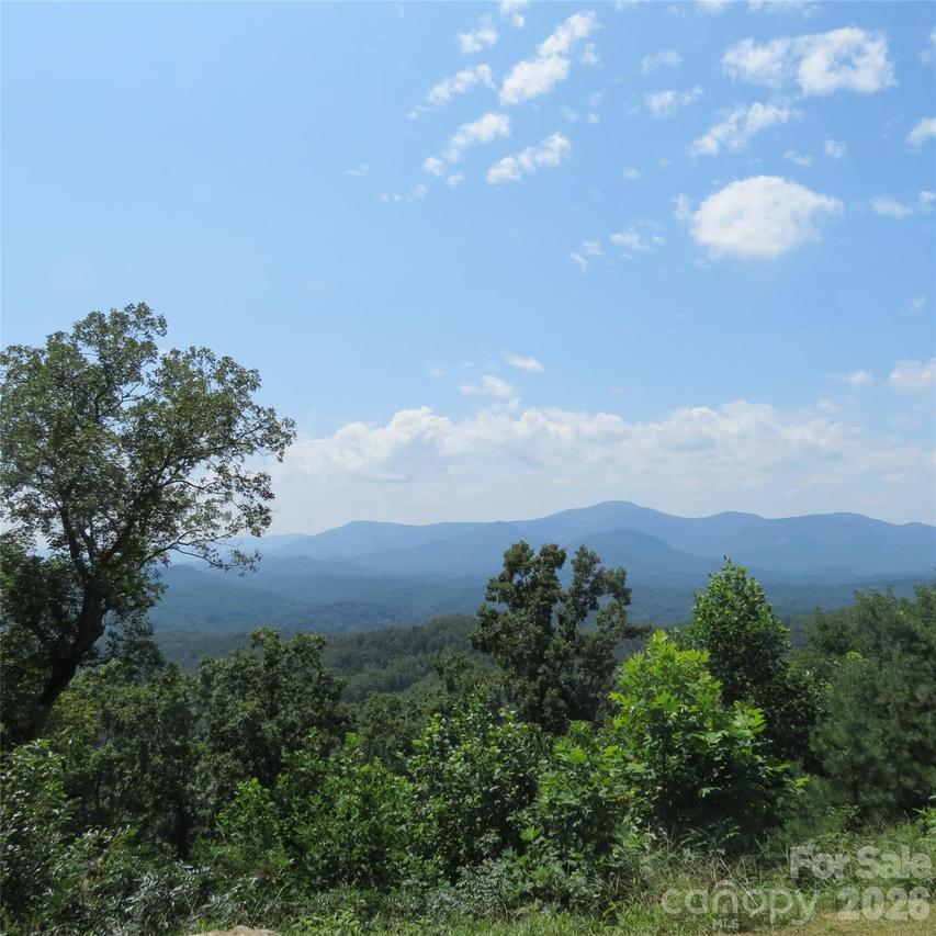 336 Willow Top Ln., Lake Lure, NC 28746