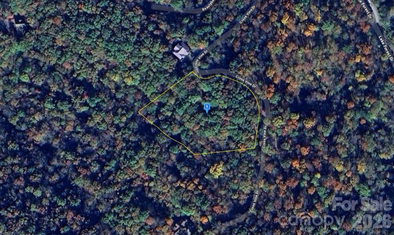 243 Cross Vine Dr., Tuckasegee, NC 28783